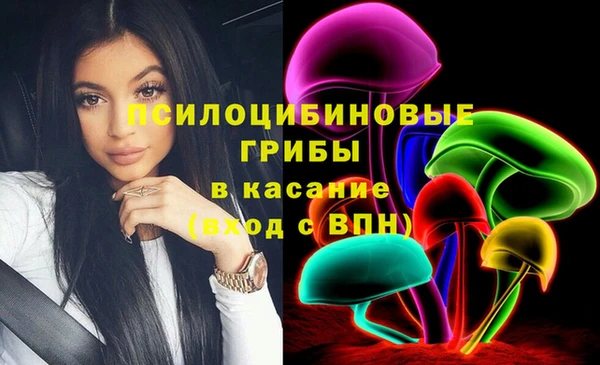 амф Абинск